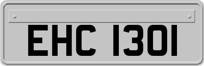 EHC1301