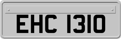 EHC1310