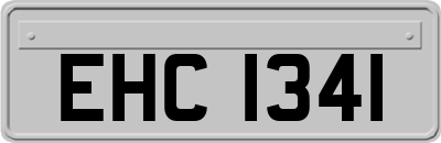 EHC1341