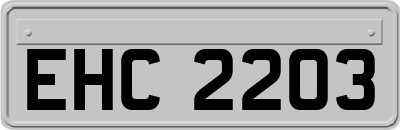 EHC2203