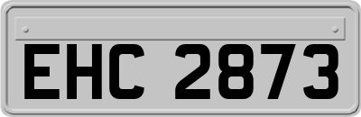 EHC2873