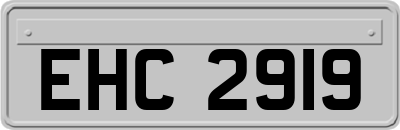 EHC2919