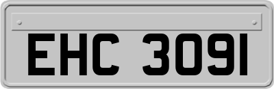 EHC3091