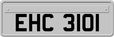 EHC3101