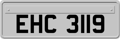 EHC3119