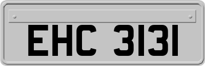 EHC3131