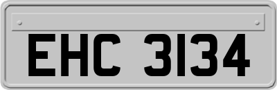 EHC3134