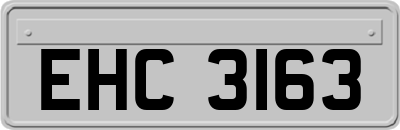 EHC3163