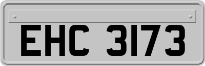 EHC3173