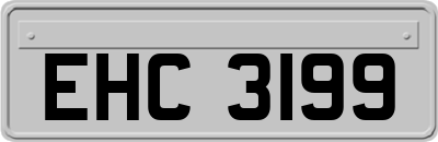 EHC3199