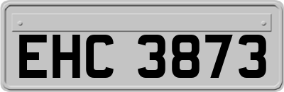 EHC3873