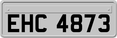 EHC4873