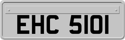 EHC5101