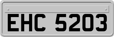 EHC5203