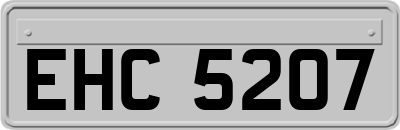 EHC5207