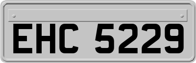 EHC5229