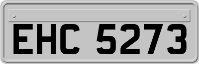EHC5273