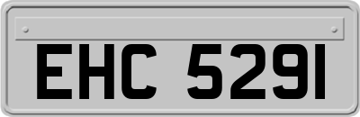 EHC5291