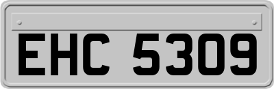 EHC5309