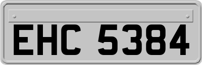 EHC5384
