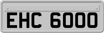 EHC6000