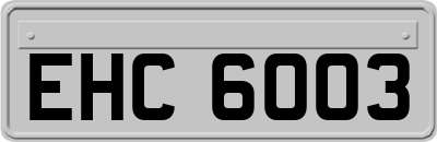 EHC6003