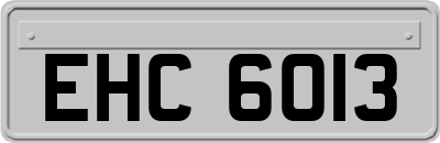 EHC6013