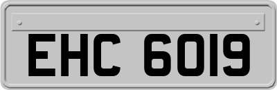 EHC6019