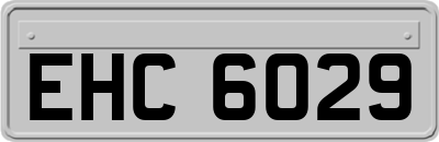 EHC6029