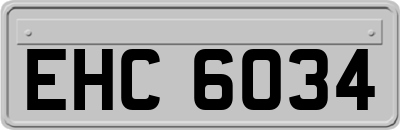 EHC6034