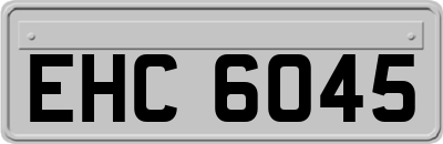 EHC6045