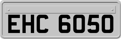 EHC6050