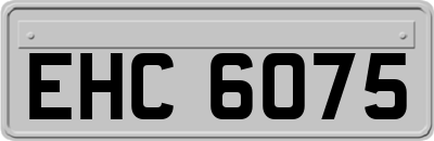 EHC6075