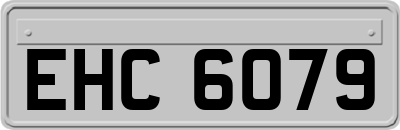 EHC6079