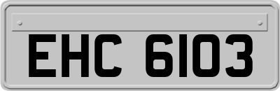 EHC6103