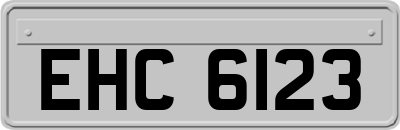 EHC6123