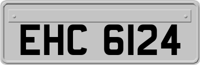 EHC6124