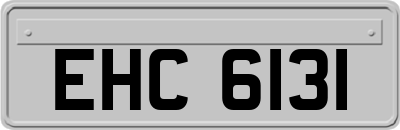 EHC6131