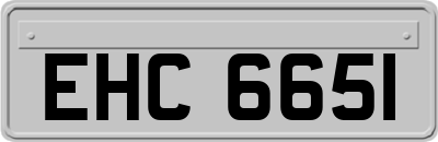 EHC6651