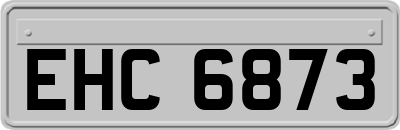 EHC6873