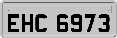 EHC6973