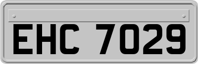 EHC7029