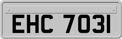 EHC7031