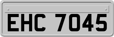 EHC7045