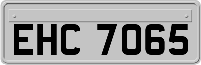 EHC7065