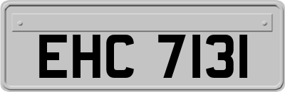 EHC7131