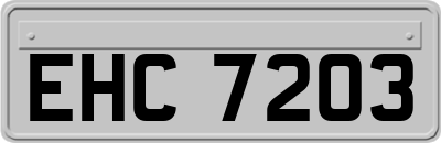 EHC7203