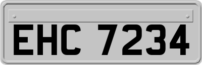 EHC7234