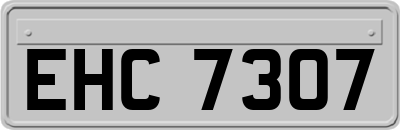 EHC7307