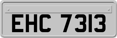 EHC7313